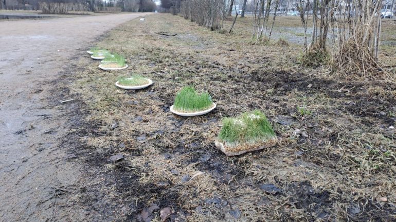 Сквер на Луначарского, 90, превратился в озеро с утками