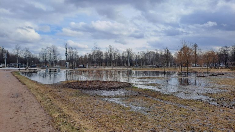 Сквер на Луначарского, 90, превратился в озеро с утками