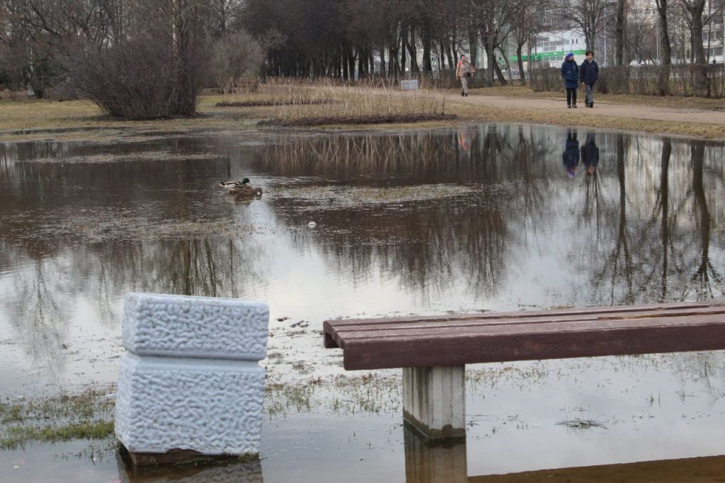 Сквер на Луначарского, 90, превратился в озеро с утками