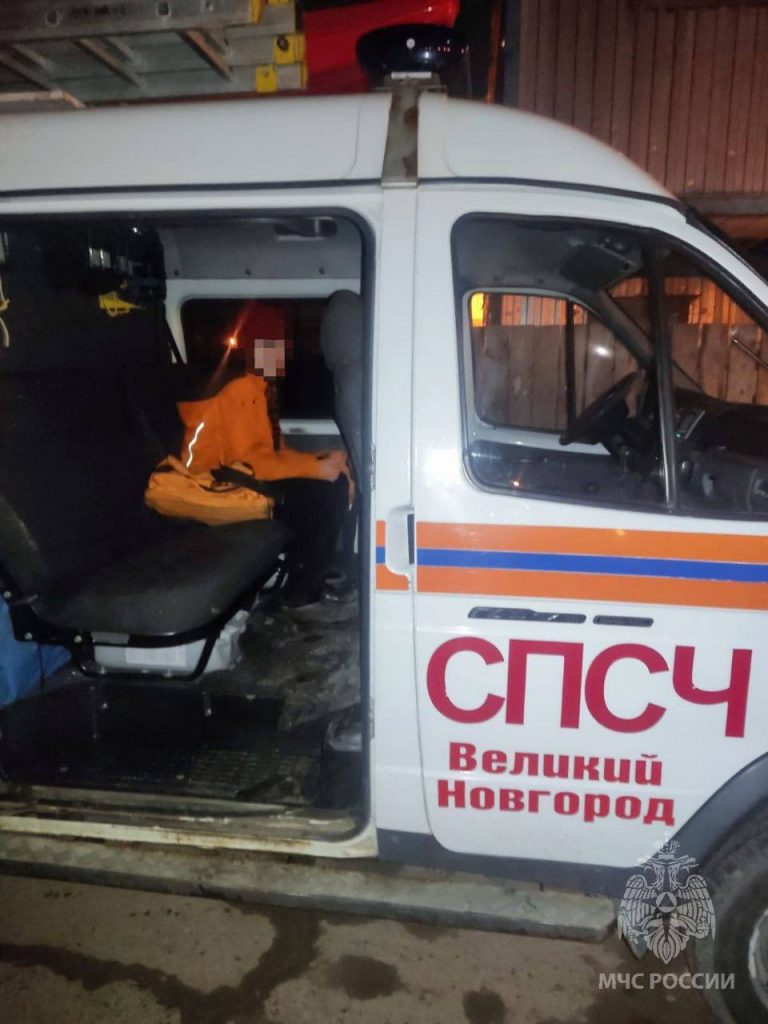 В Великом Новгороде бывший спасатель вытащил из воды девушку и собаку
