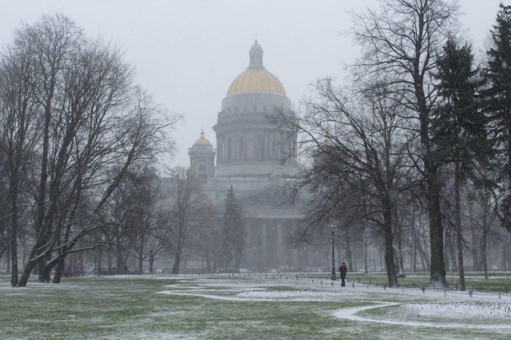 В Петербурге после снегопада сугробы выросли до 11 см