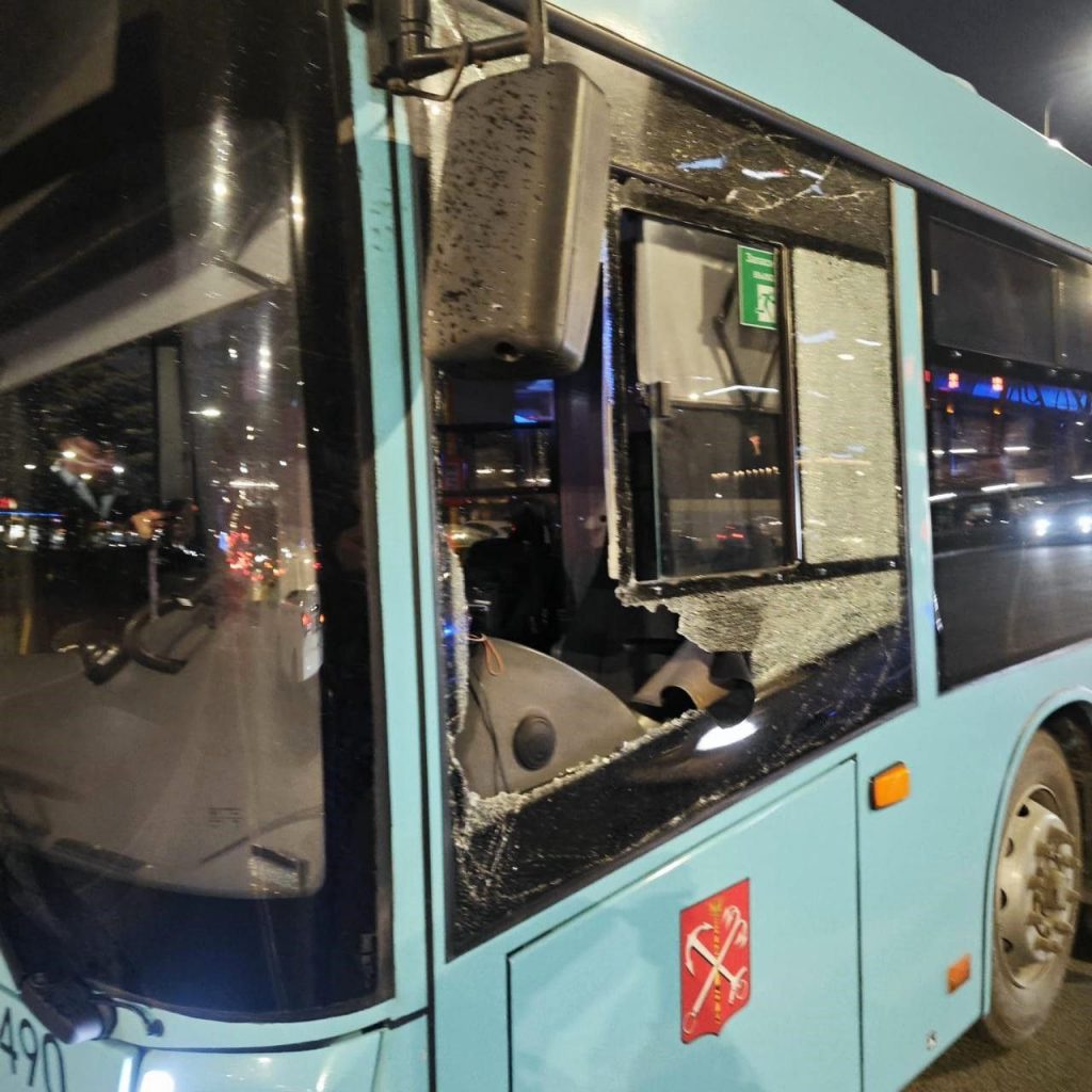 Росгвардейцы рассказали, как пассажир бил водителя и автобус на Пулковском шоссе