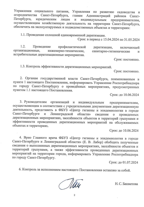Башкетова объявила сплошную борьбу с крысами в Петербурге