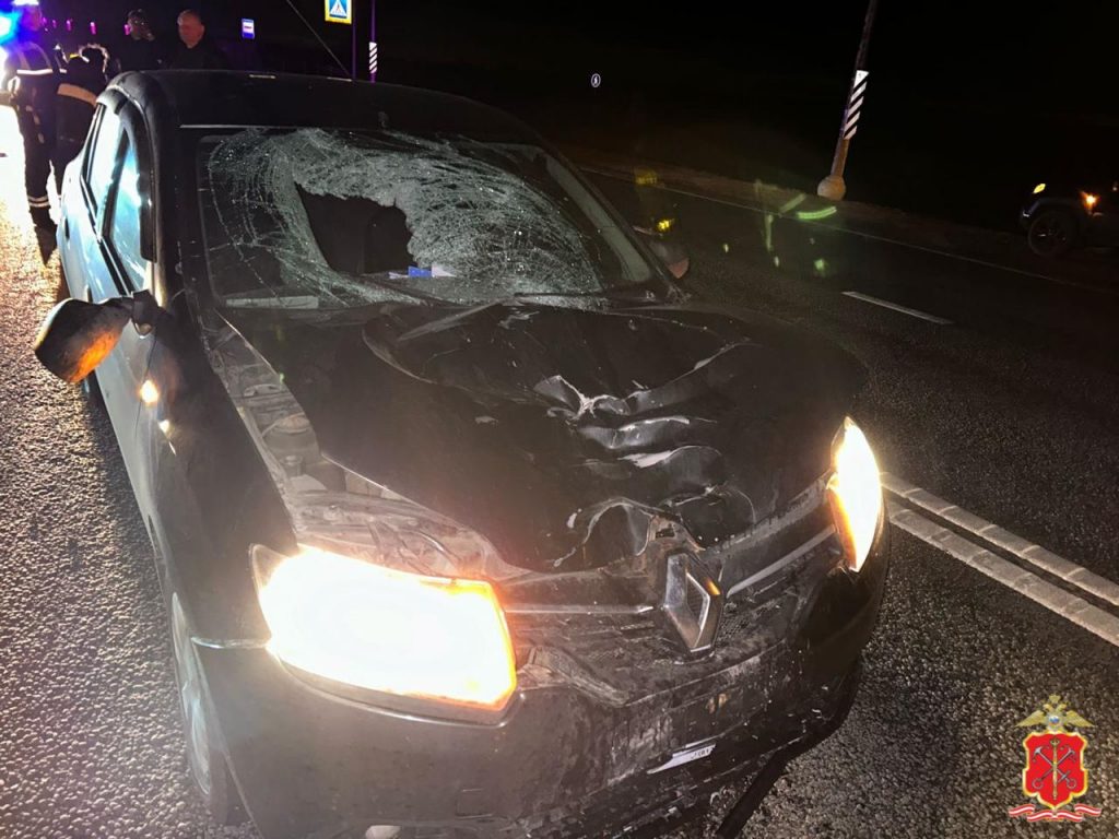Полиция показала сбивший петербуржца на Мурманском шоссе Renault