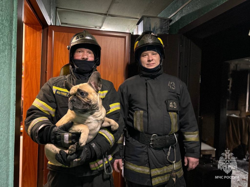 МЧС в Москве спасло мужчину и бульдога из квартиры, где сгорел самогонный аппарат