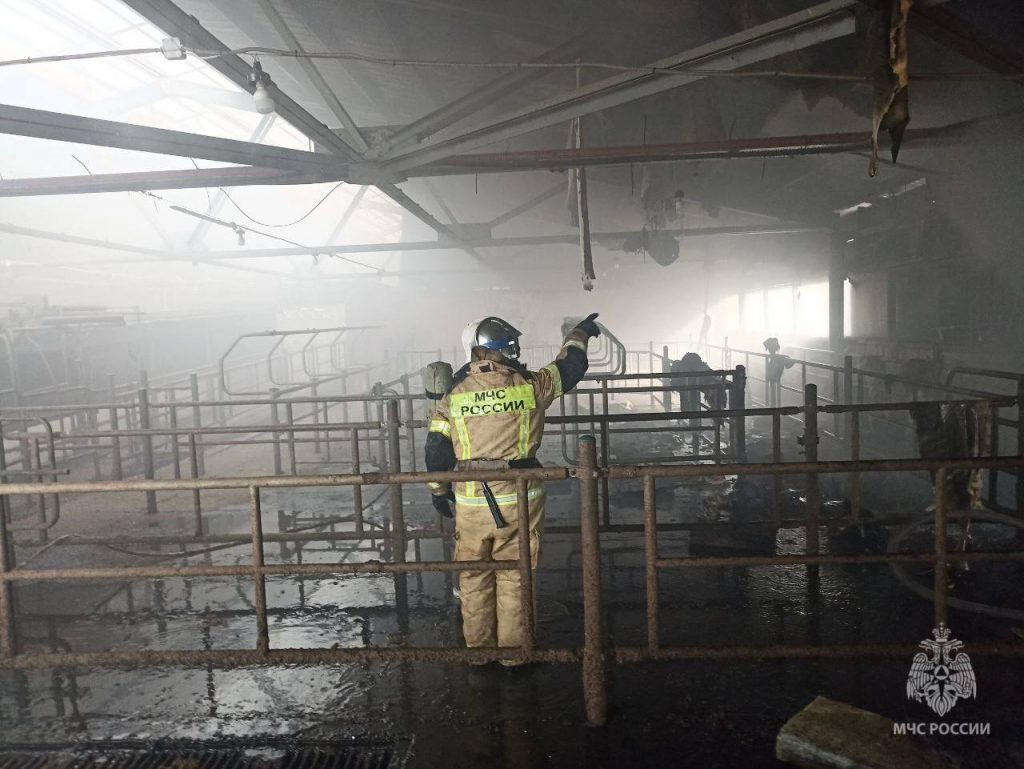 Пожарные спасли 20 коров из горящей фермы в Нижегородской области