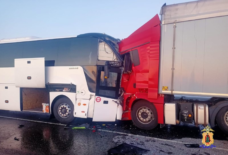 Под Рязанью 13 человек пострадали в лобовом ДТП с автобусом и грузовиком