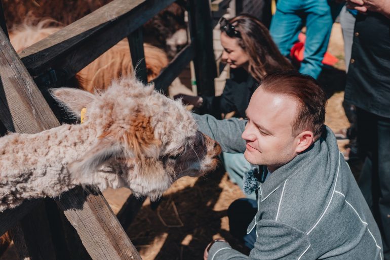 Партия «Новые люди» открыла штаб зоозащитного движения в Санкт-Петербурге
