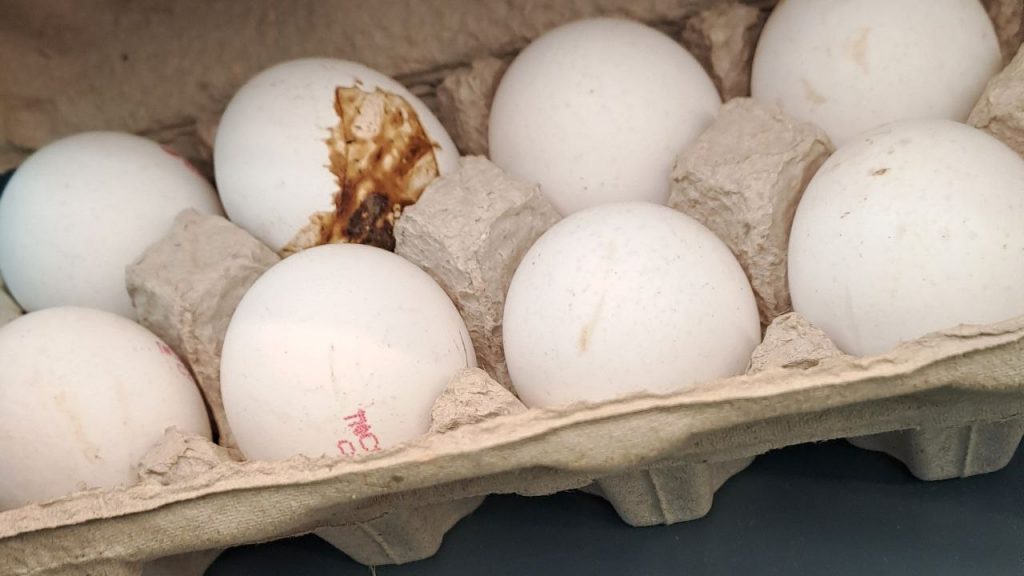 В Чистый четверг в магазинах с трудом найдешь яйца без грязи для Пасхи