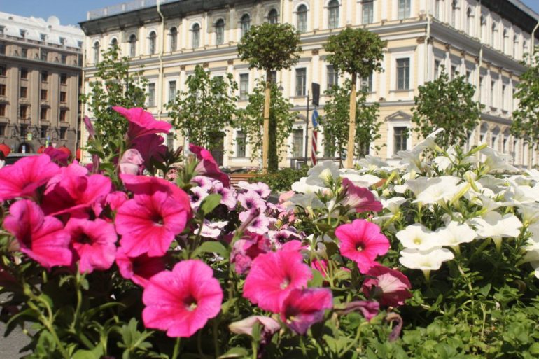 Липовый сад на Синем мосту у Мариинского дворца открылся