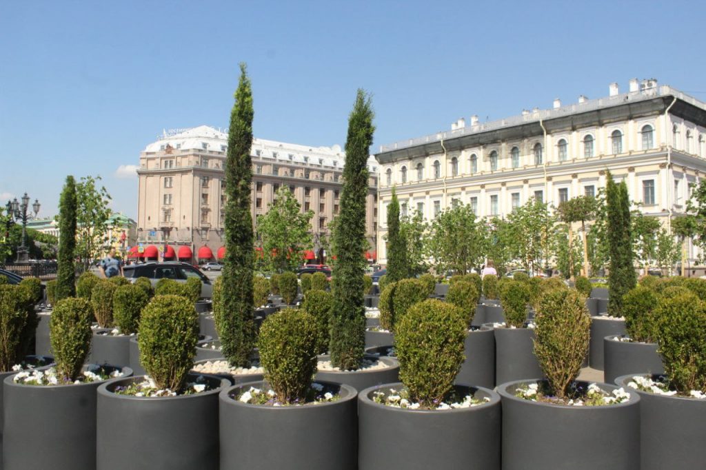 Липовый сад на Синем мосту у Мариинского дворца открылся