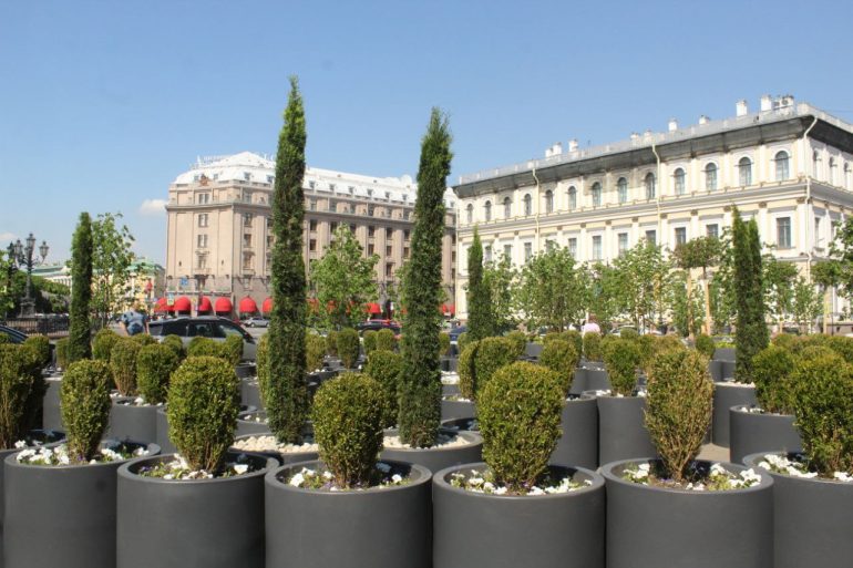 Сад на Синем мосту подешевел в шесть раз после «замены» деревьев