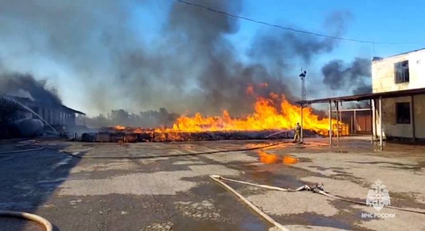 МЧС показало пожар на складе овощей в Крыму