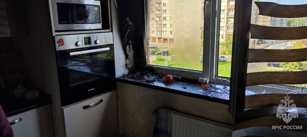 Солнечные лучи превратили вазу в линзу и подожгли подоконник в Калининграде