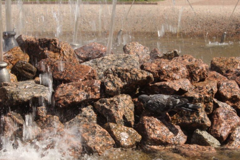 Мойка78 рассказывает, как летом Разумишкину заработать больше Корабельникова