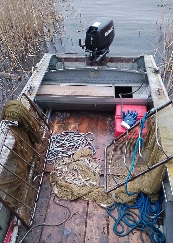 На реке Волхов поймали браконьера с 320 корюшками