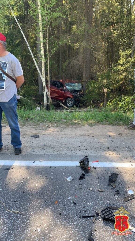 На трассе под Сосновым Бором 21-летний водитель спровоцировал ДТП, погибли 5 человек