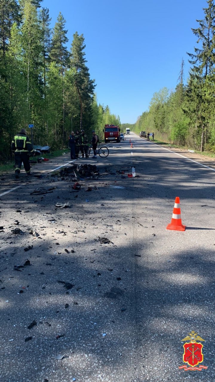 На трассе под Сосновым Бором 21-летний водитель спровоцировал ДТП, погибли  5 человек - Мойка78.ру﻿ Новости СПб