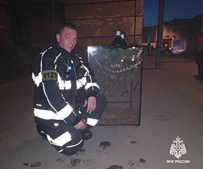 Спящего питона спасли из горящего здания в Москве