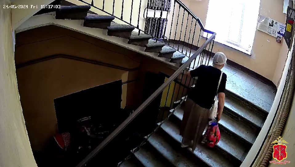 Мигрант попытался украсть сумку у пенсионерки в подъезде на улице Константина Заслонова