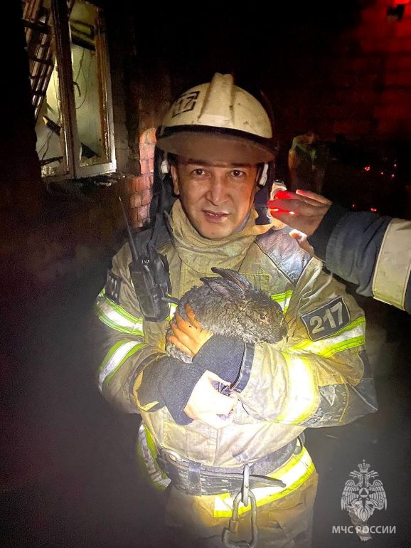 Сотрудники МЧС спасли 48 кроликов из огня в Астрахани