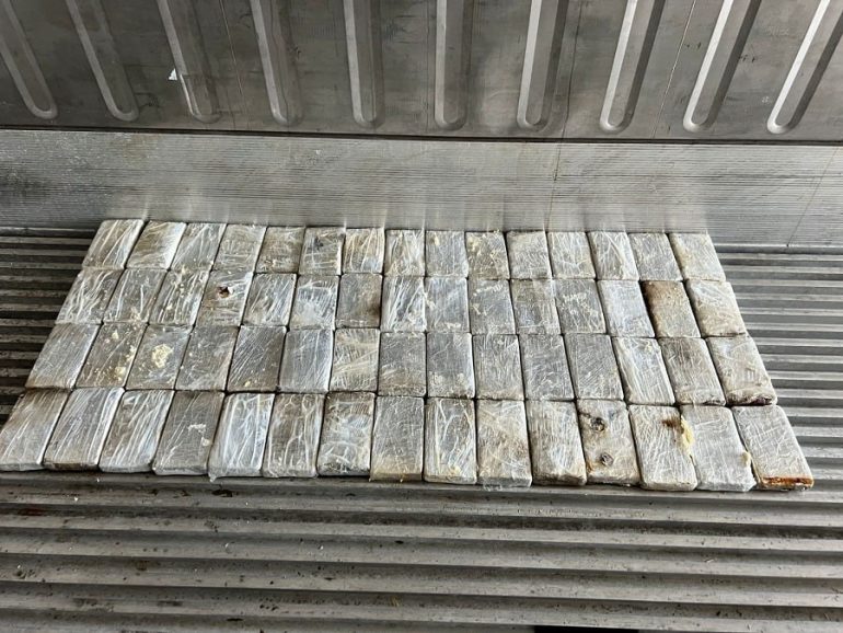 В Петербурге в бананах из Эквадора нашли 60 кг наркотиков