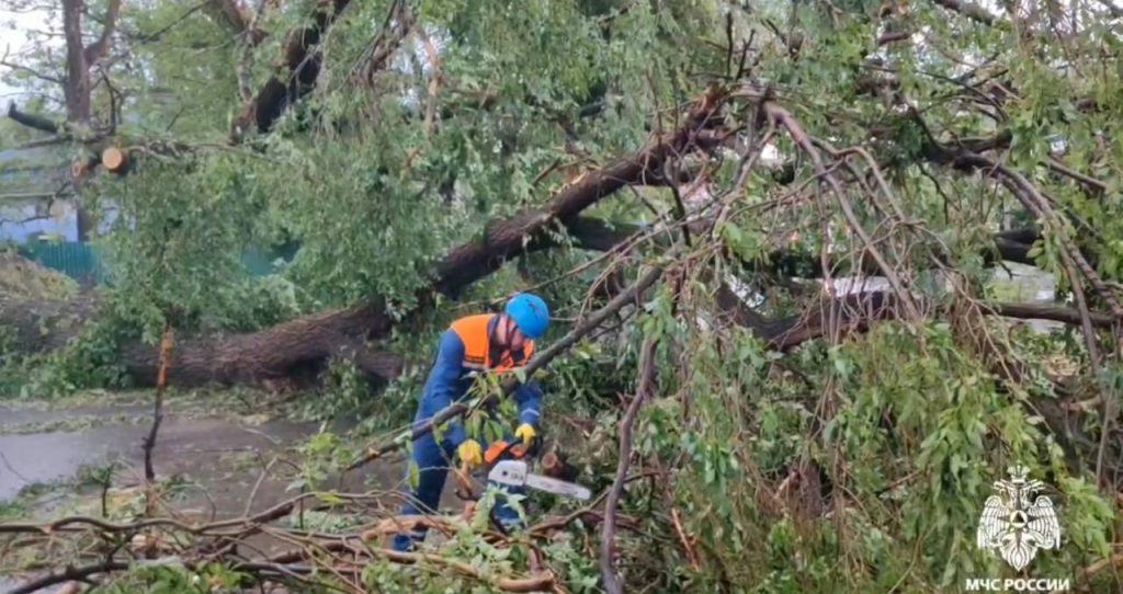 В Черкесске упавшее на машину во время урагана дерево убило человека