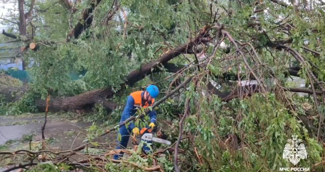 В Черкесске упавшее на машину во время урагана дерево убило человека -  Мойка78.ру﻿ Новости СПб