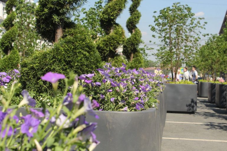 Липовый сад на Синем мосту у Мариинского дворца открылся