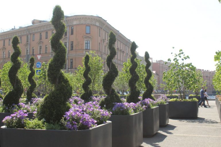 Липовый сад на Синем мосту у Мариинского дворца открылся