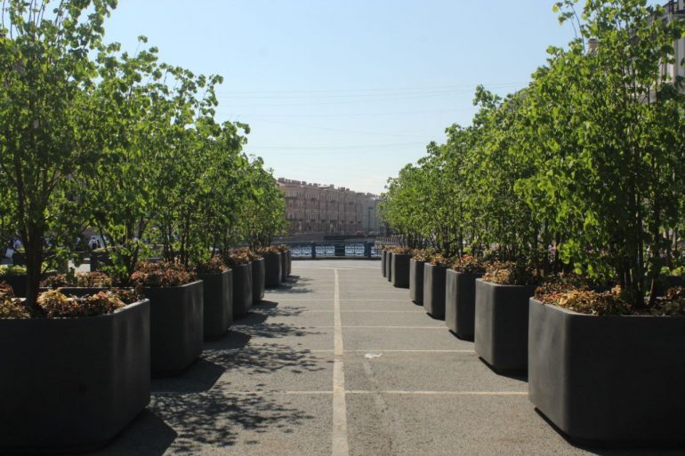 Липовый сад на Синем мосту у Мариинского дворца открылся