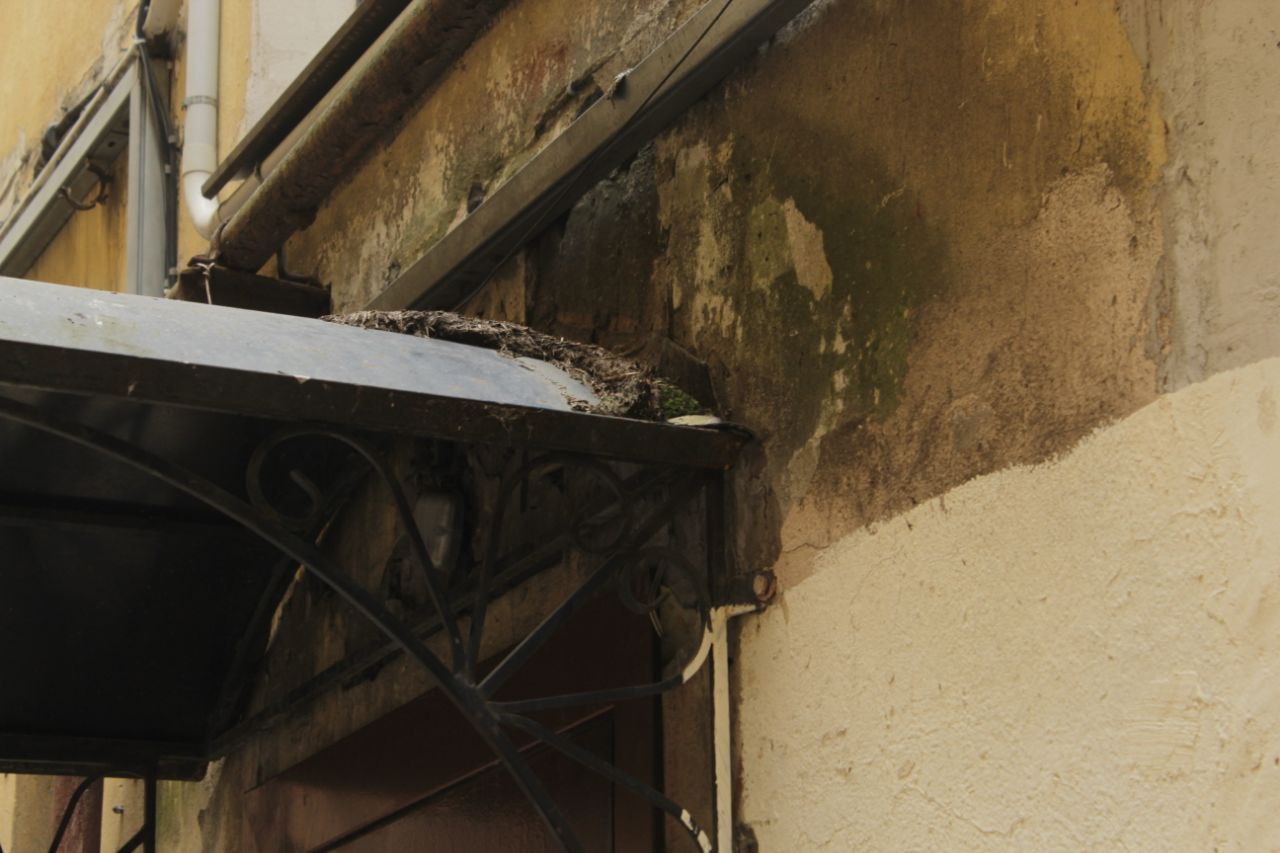 В галерее «Точка» открылась выставка в память о фотографе Теребенине