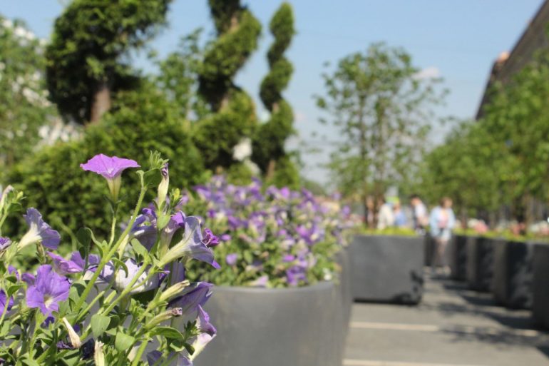 Сад на Синем мосту подешевел в шесть раз после «замены» деревьев