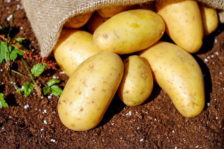 Росстат рассказал об изменении цены картофеля с начала года