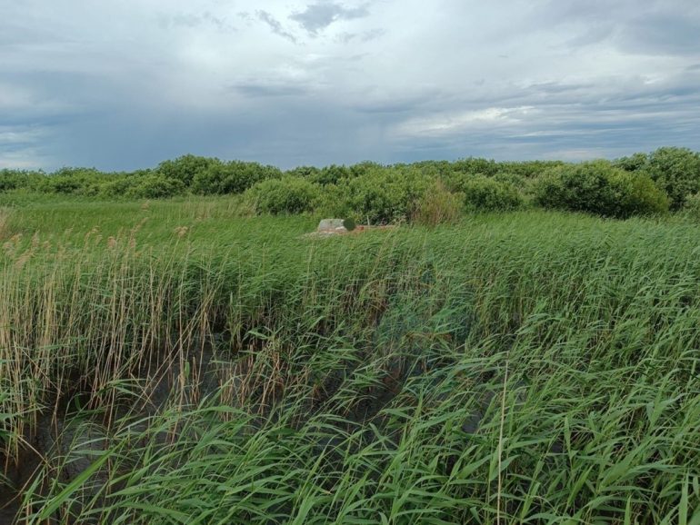 Тело пропавшего рыбака из деревни Кобона нашли в Ладожском озере