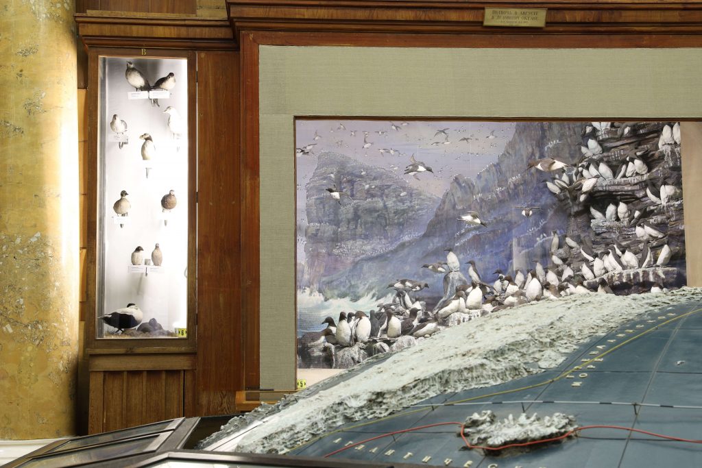 Обновление экспозиции и масштабные выставки ждут Музей Арктики и Антарктики к 90-летию