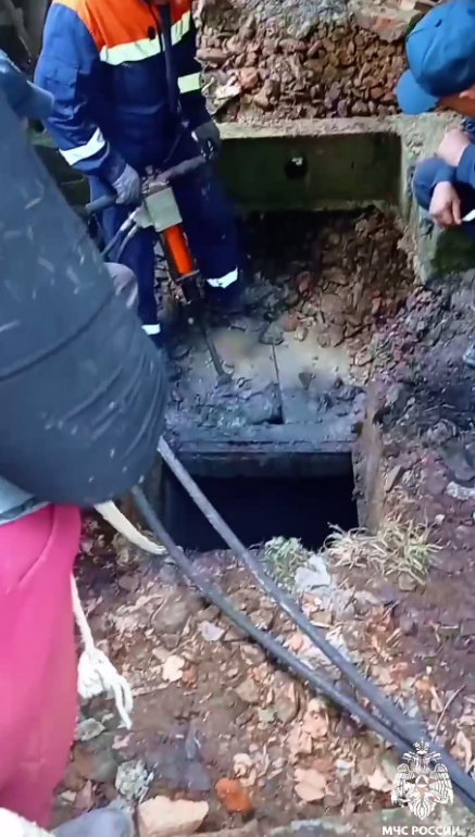 В Приморье спасли лошадь, которая два дня стояла в метровой яме