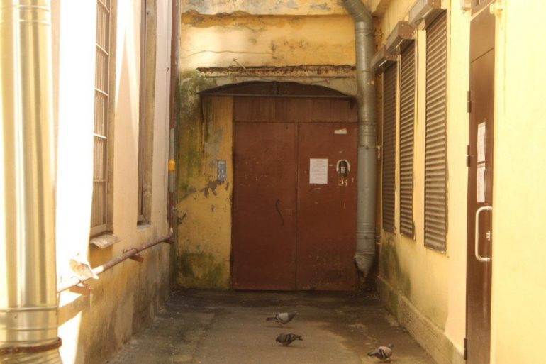 Во дворе-колодце на Средней Подьяческой растут трещины и гниет дерево