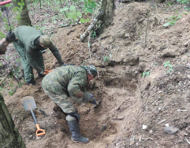 В Павловском парке нашли останки убитых в 1942 году красноармейцев