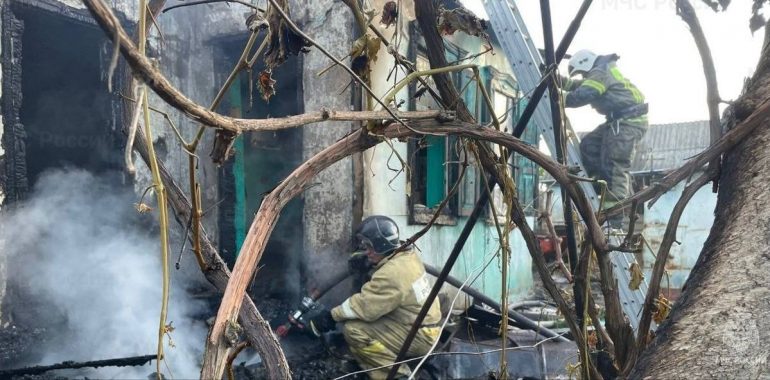 Сотрудники МЧС спасли из огня семью шиншилл