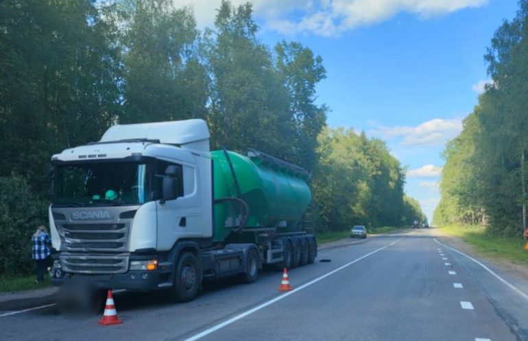 Пассажирка Lada погибла в ДТП с грузовиком Scania на трассе под Сланцами