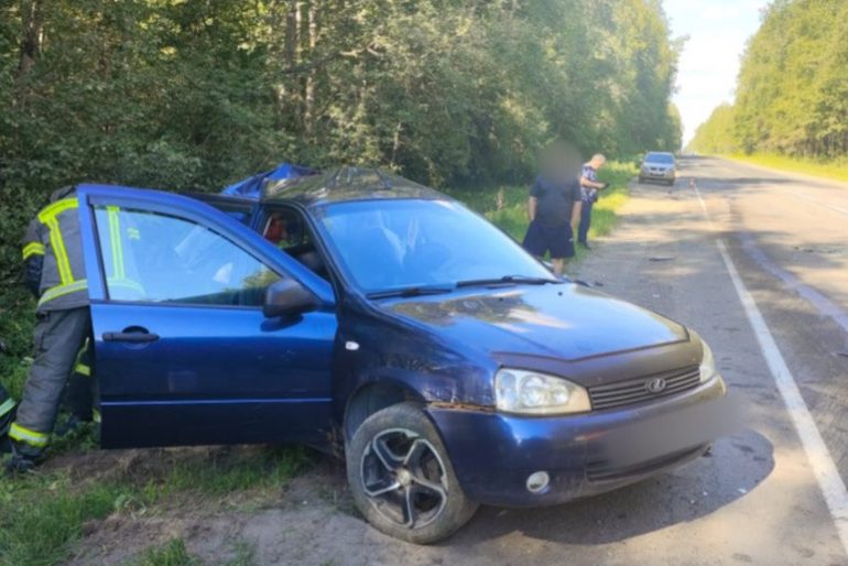 Пассажирка Lada погибла в ДТП с грузовиком Scania на трассе под Сланцами