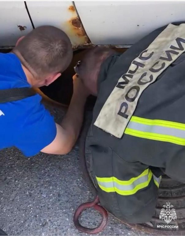 На Приозерском шоссе спасатели вытащили провалившихся в люк утят