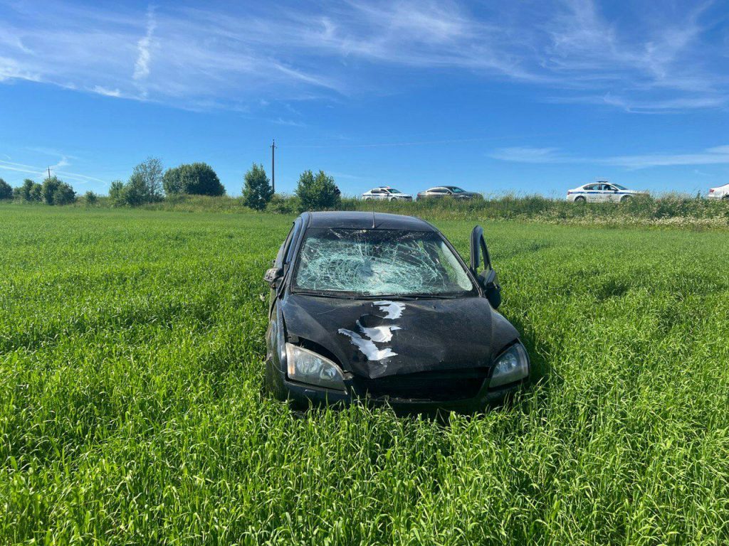 Ford насмерть сбил 13-летнего мальчика на трассе под Гатчиной - Мойка78.ру﻿  Новости СПб