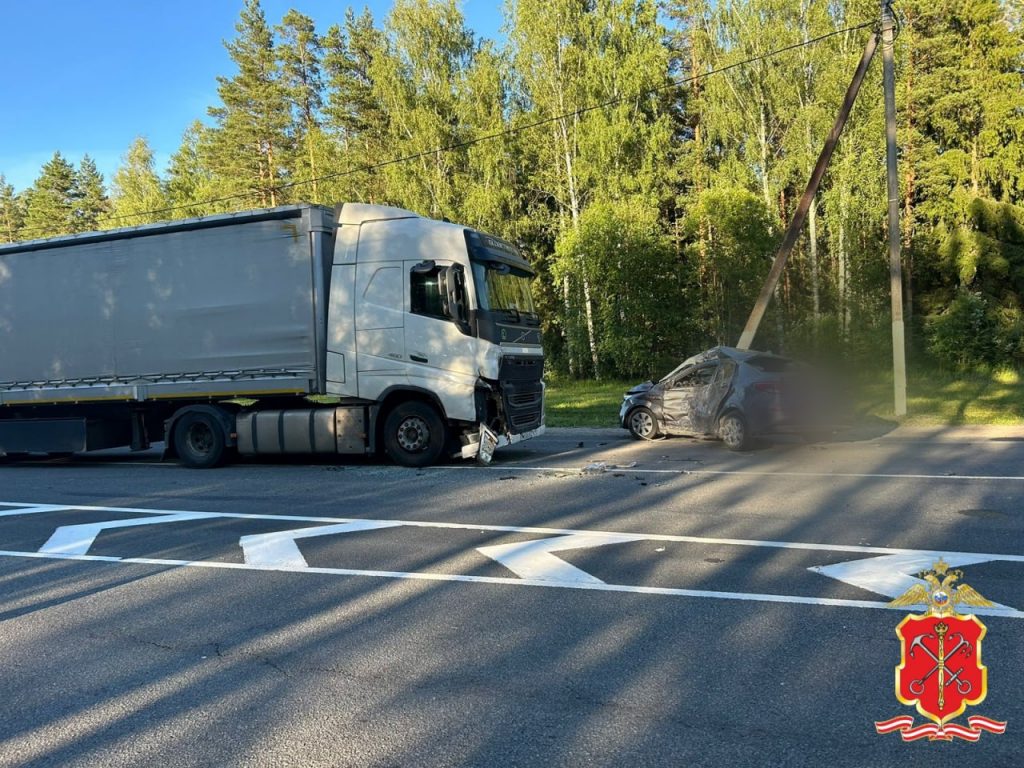 В ДТП под Лугой погиб водитель Kia, не пропустивший фуру