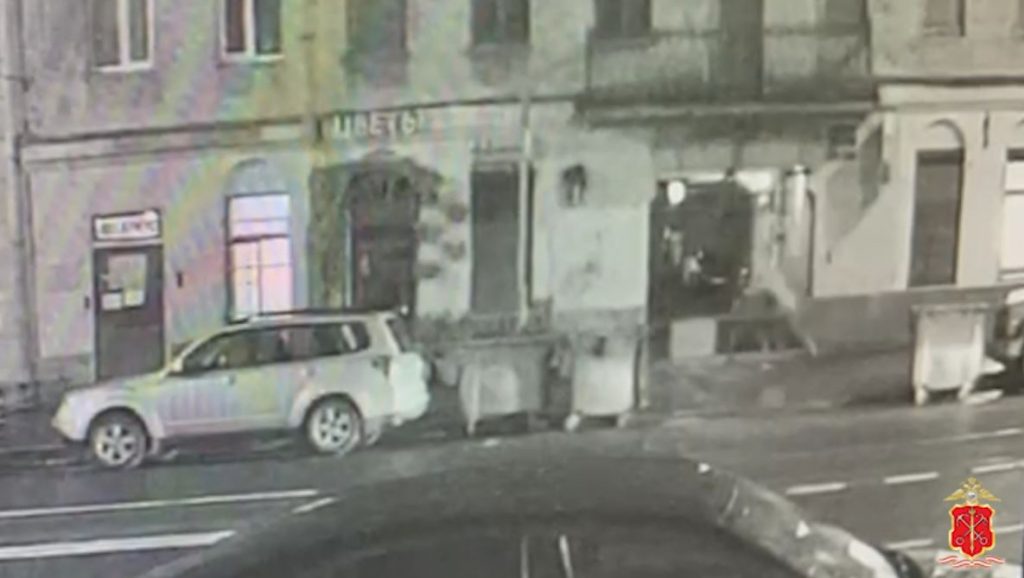 В центре Петербурга иностранец вырвал у прохожей телефон и сбежал 