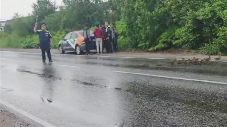 В Буграх инспектор ГАИ перекрыл движение из-за утиного семейства