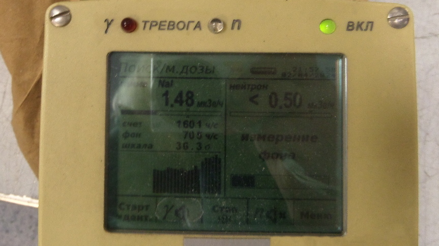 Во Внуково у пассажирки из Индии нашли радиоактивный песок