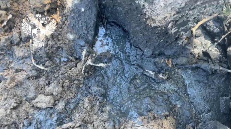 Росприроднадзор нашел причину вони из ручья Горелый в ЖК «Цветной город»