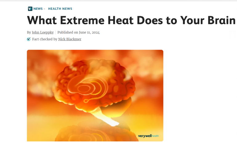 Что жара делает с вашим мозгом